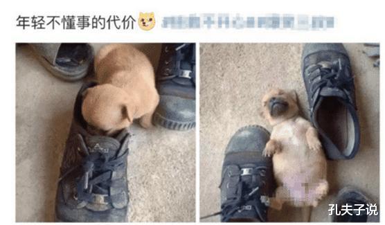 “我妈的朋友圈真是笑死人,个个是精品,我爸气的牙痒痒!”哈哈哈哈 “我妈的朋友圈真是笑死人,个个是精品,我爸气的牙痒痒!”哈哈哈哈