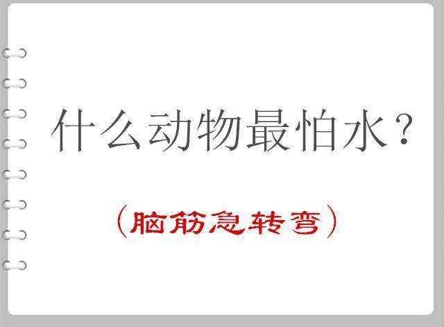 这么漂亮的新娘,你一定不敢娶吧?真的让人有点担心啊! 这么漂亮的新娘,你一定不敢娶吧?真的让人有点担心啊!