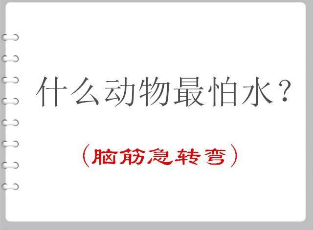 这么漂亮的新娘，你一定不敢娶吧？真的让人有点担心啊！