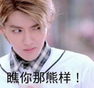 这个大哥当不下去了 这个大哥当不下去了