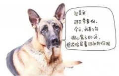 其实我是想要有个女朋友呢。