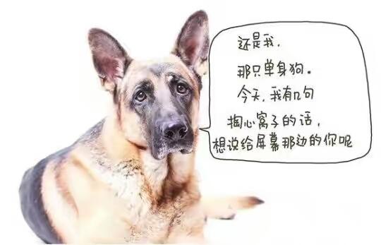 其实我是想要有个女朋友呢。 其实我是想要有个女朋友呢。