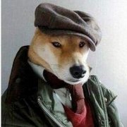 成熟是一种气质。 成熟是一种气质。