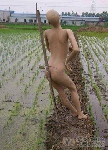 现今社会的高科技太多 现今社会的高科技太多