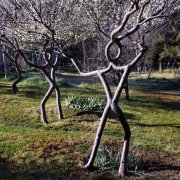 长的随心所欲,肆无忌惮的树。