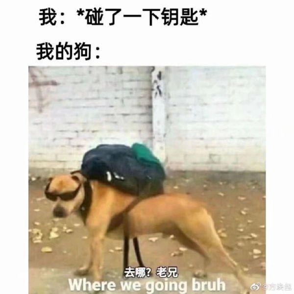 轻松一刻:晚上偷着发一个,应该没人看到吧? 轻松一刻:晚上偷着发一个,应该没人看到吧?