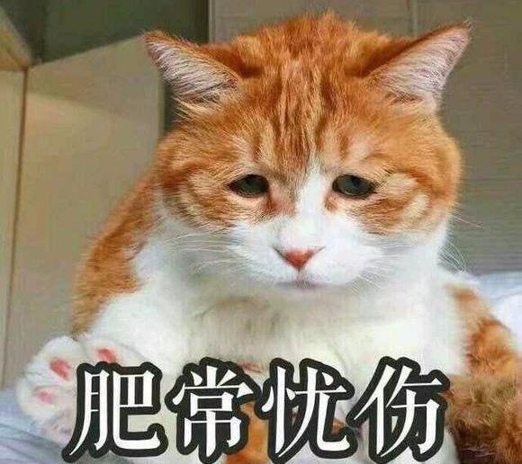 爆笑段子:有一女同事,儿子都一岁半了还没断奶 爆笑段子:有一女同事,儿子都一岁半了还没断奶
