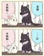 论卖的萌杀伤力有多大