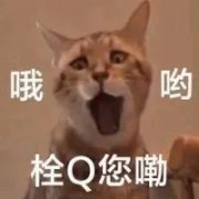 哦哟栓Q您嘞 哦哟栓Q您嘞