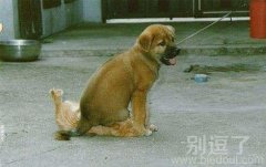 一个舒服的椅子。 一个舒服的椅子。