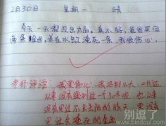 雷人的日记，真是服了！！