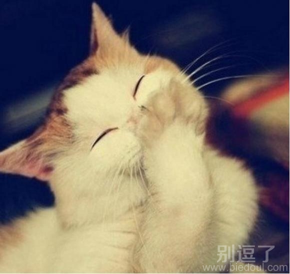 我家小区有个丫头。。