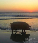 想起那年，夕阳下奔跑的逝去青春