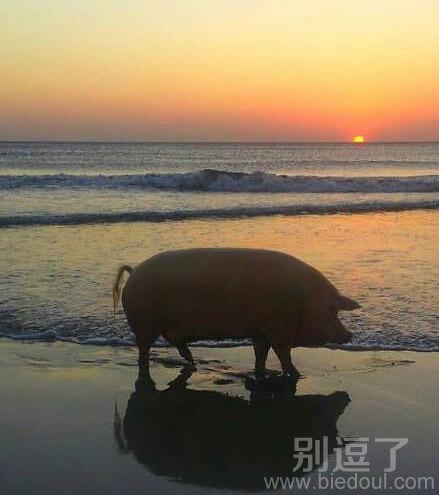 想起那年，夕阳下奔跑的逝去青春