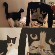 人类！你有听说过肖像权吗？！
