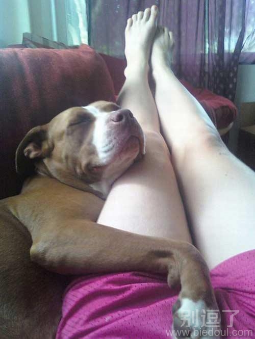 你这是要逆天啊。 你这是要逆天啊。