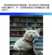 有一种鬼 叫意志薄弱