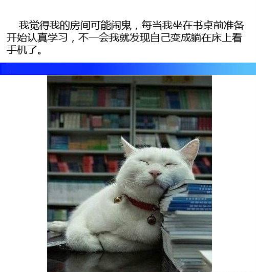 有一种鬼 叫意志薄弱 有一种鬼 叫意志薄弱