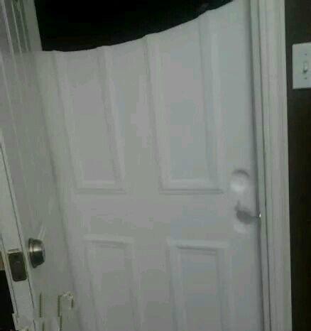 听说东北下雪了 听说东北下雪了