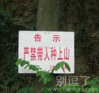这个标语有点邪恶呀 这个标语有点邪恶呀