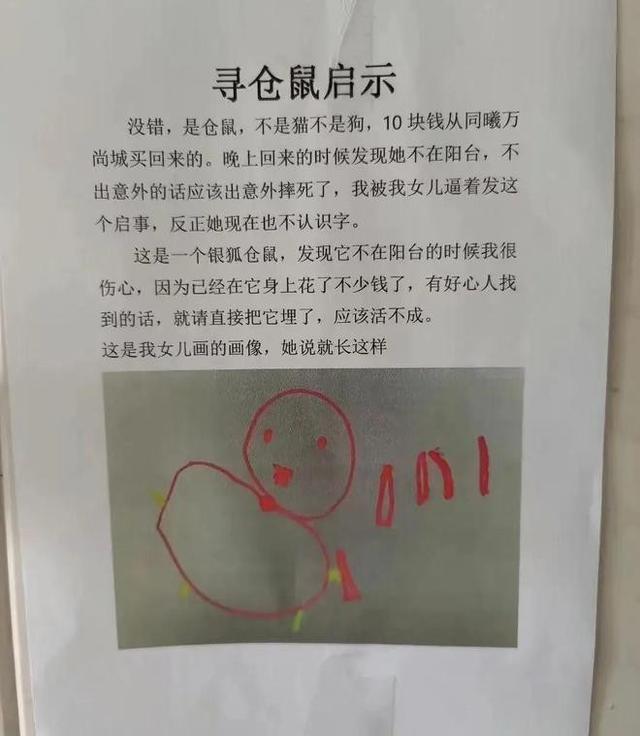 搞笑囧图:住高层睡觉要拉窗帘的原因,结个婚犹如渡劫 搞笑囧图:住高层睡觉要拉窗帘的原因,结个婚犹如渡劫