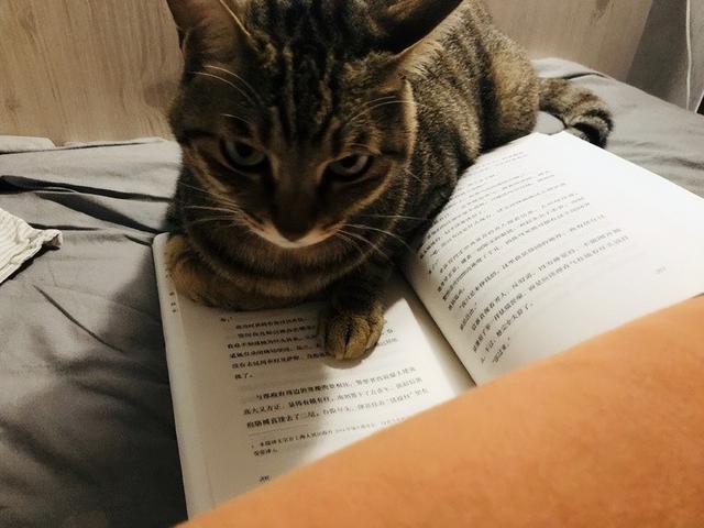 搞笑囧图:住高层睡觉要拉窗帘的原因,结个婚犹如渡劫 搞笑囧图:住高层睡觉要拉窗帘的原因,结个婚犹如渡劫