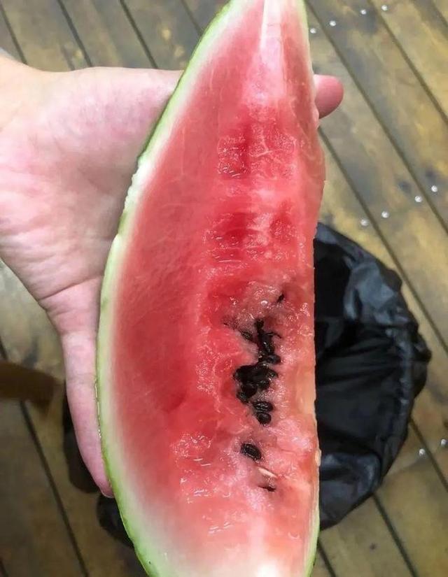 搞笑囧图:住高层睡觉要拉窗帘的原因,结个婚犹如渡劫 搞笑囧图:住高层睡觉要拉窗帘的原因,结个婚犹如渡劫