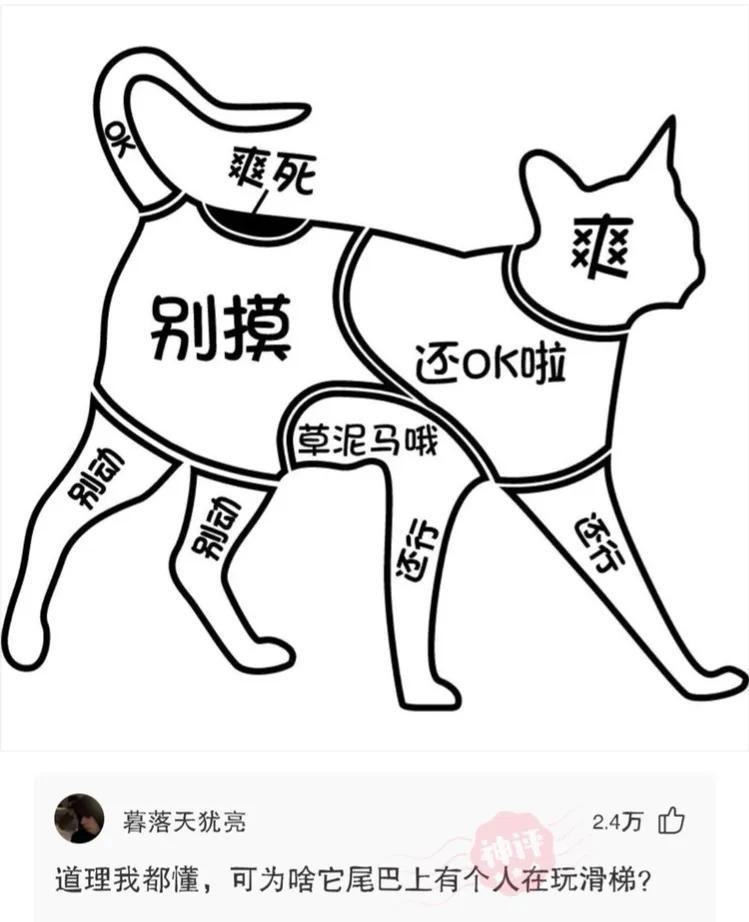 19岁小伙骗40岁漂亮阿姨千里来约会，阿姨：“我不能伤害你”