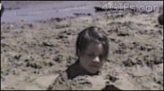 汪星人，这是你撒尿的地方吗