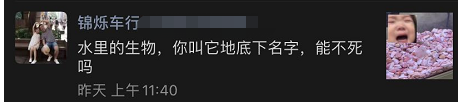 轻松一刻:老汉蹬车?惊了还有这种操作…… 轻松一刻:老汉蹬车?惊了还有这种操作……
