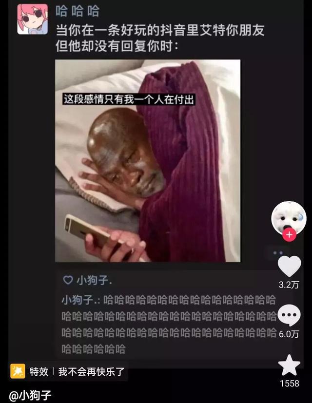 今日笑话:都快把猫咪馋哭了 今日笑话:都快把猫咪馋哭了