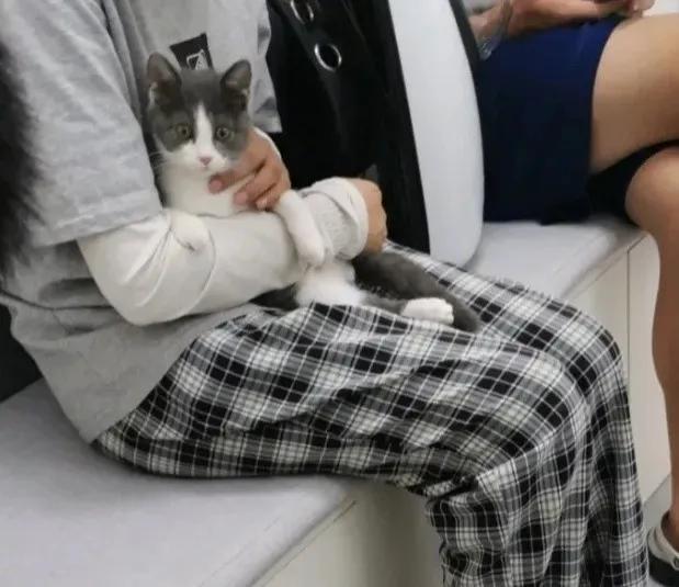 今日笑话:都快把猫咪馋哭了 今日笑话:都快把猫咪馋哭了