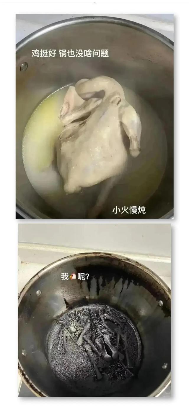 今日笑话:都快把猫咪馋哭了 今日笑话:都快把猫咪馋哭了