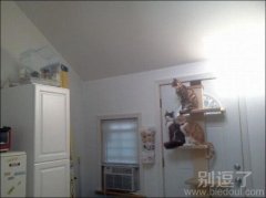 打一成语--虎视眈眈