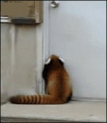 宝宝要进去，快开门