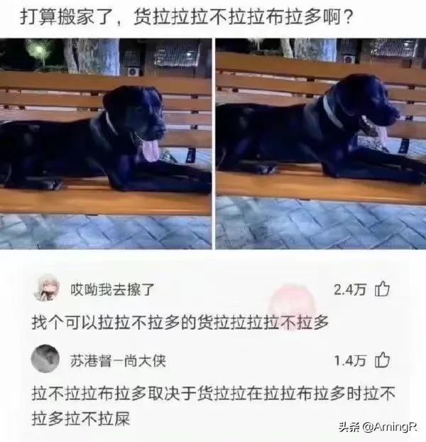更新一期网友神回复系列,一起来快乐一下吧 更新一期网友神回复系列,一起来快乐一下吧