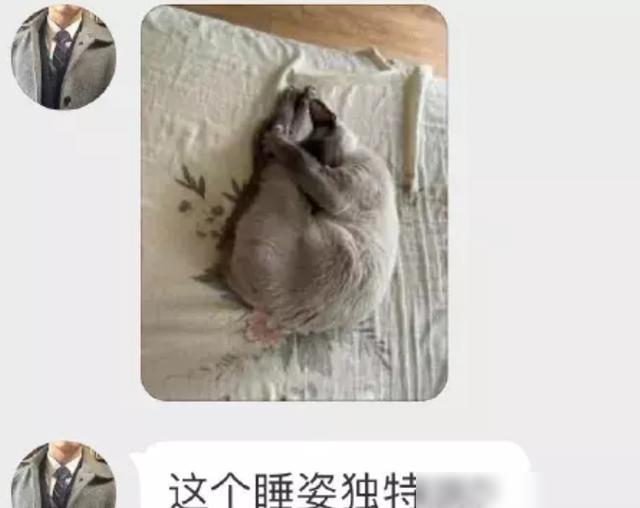 老家旧房子打扫出来的瓶子,可不可以换一套房?哈哈哈要海景房! 老家旧房子打扫出来的瓶子,可不可以换一套房?哈哈哈要海景房!