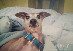 看我可爱的小虎牙