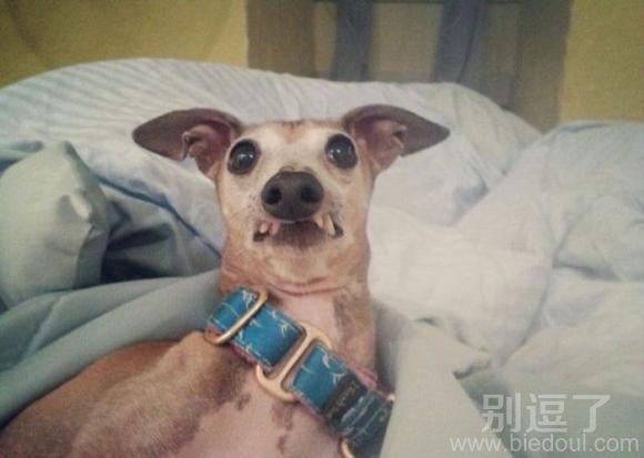 看我可爱的小虎牙