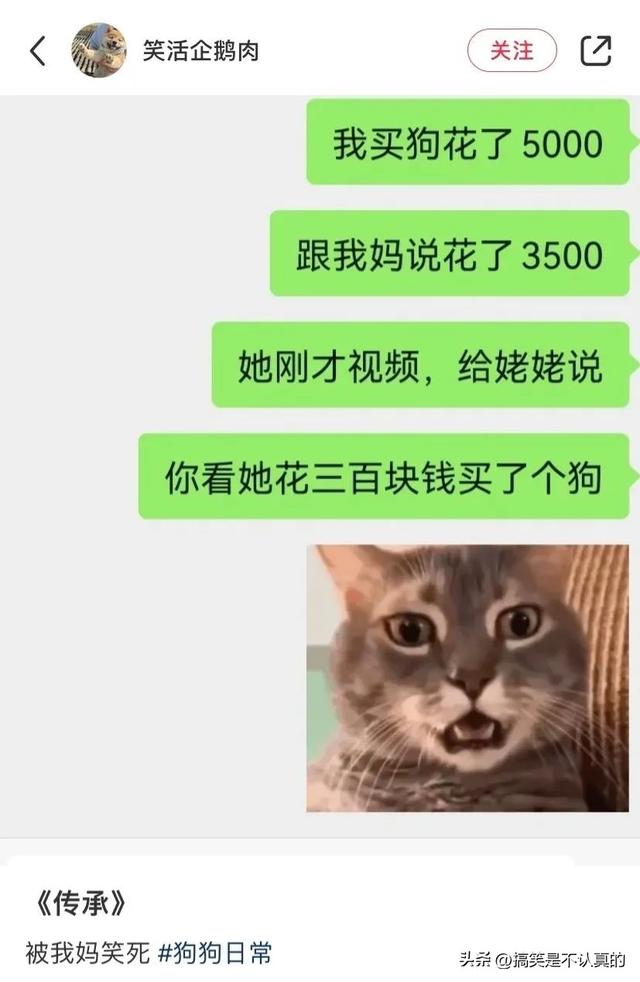 现在的衣服太奇怪了,妹子穿成这样还好意思出门?太尴尬了吧 现在的衣服太奇怪了,妹子穿成这样还好意思出门?太尴尬了吧