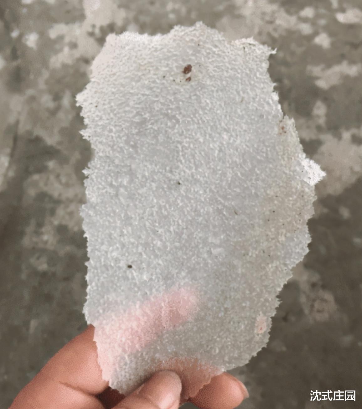 脑袋痒了半年了,现在总算舒服了,这是啥皮啊 脑袋痒了半年了,现在总算舒服了,这是啥皮啊