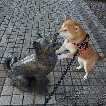 来,亲一下吧! 来,亲一下吧!