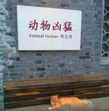 每日一笑:看看这棵树,还有什么困难,能把你难住呢? 每日一笑:看看这棵树,还有什么困难,能把你难住呢?