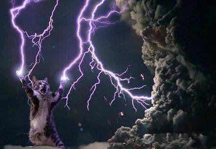 喵星人发功了电闪雷鸣 喵星人发功了电闪雷鸣