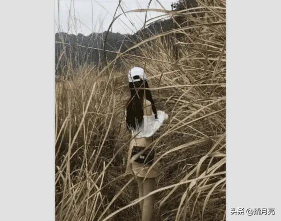 “和女同学出去玩,接下来该干什么啊?”哇哈哈哈,网友们太狠了 “和女同学出去玩,接下来该干什么啊?”哇哈哈哈,网友们太狠了