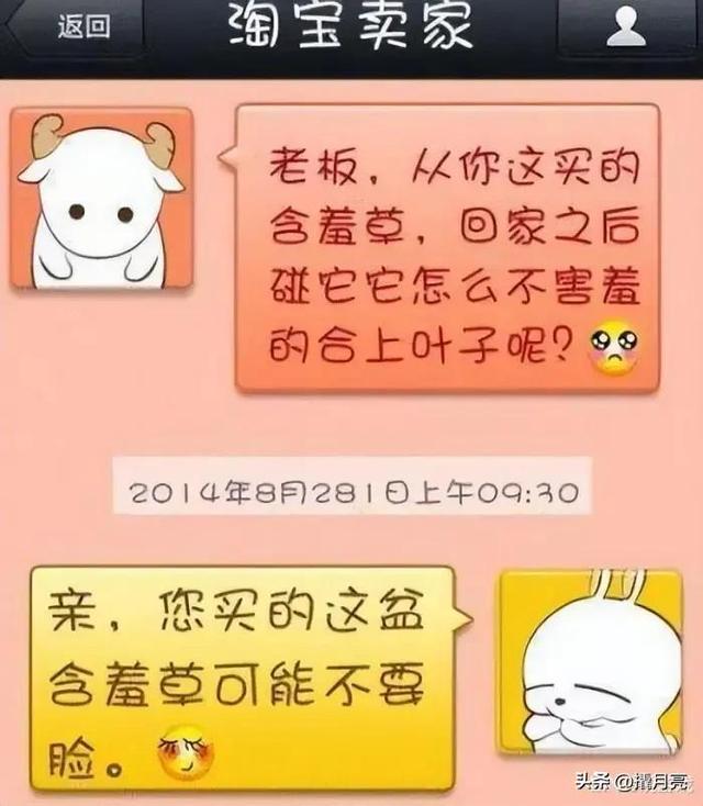 “和女同学出去玩,接下来该干什么啊?”哇哈哈哈,网友们太狠了 “和女同学出去玩,接下来该干什么啊?”哇哈哈哈,网友们太狠了