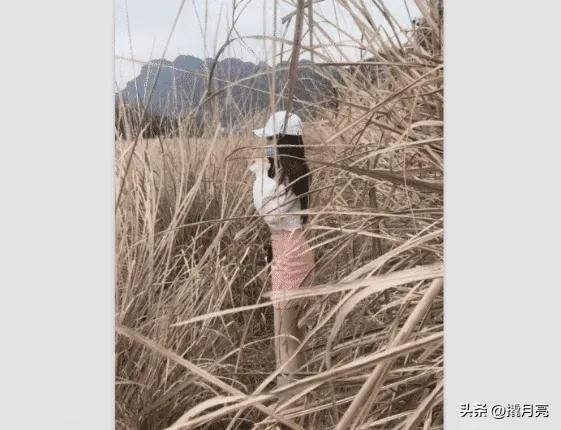 “和女同学出去玩,接下来该干什么啊?”哇哈哈哈,网友们太狠了 “和女同学出去玩,接下来该干什么啊?”哇哈哈哈,网友们太狠了