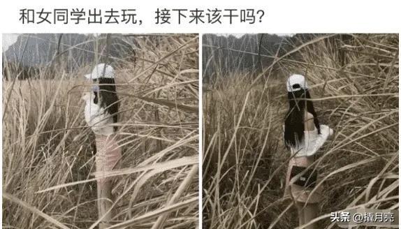 “和女同学出去玩,接下来该干什么啊?”哇哈哈哈,网友们太狠了 “和女同学出去玩,接下来该干什么啊?”哇哈哈哈,网友们太狠了