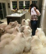 再也不敢带吃的单独进屋了