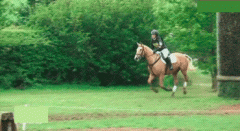 这是什么仇什么怨 这是什么仇什么怨